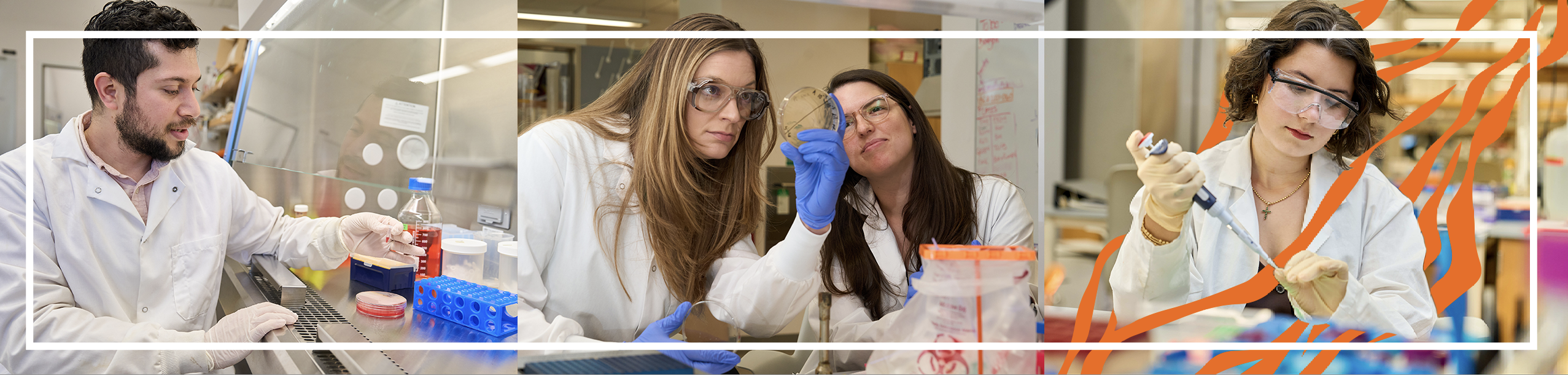 A variety of images depicting students and research in the College of Science.